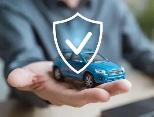 Insurance & Support